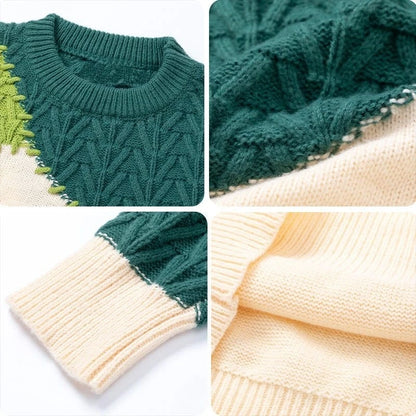 Casual Knit Pullover Colorblocked Chunky Knit Sweater Crew Neck Long Sleeve Men's Sweater
