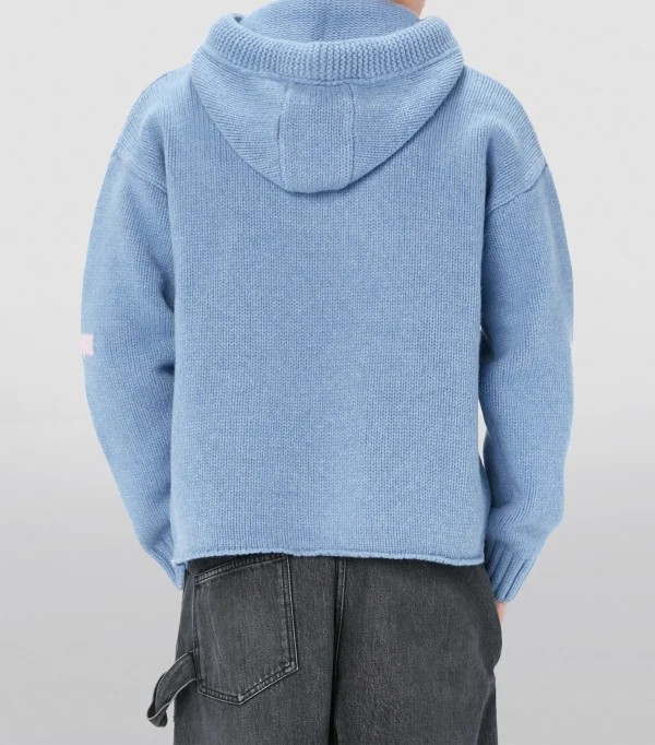 Design Pattern Name Wool Blend Hoodie Knit Sweater Long Sleeve Embroideries Jacquard Men's Knitted Hoodie - Image 2